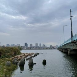 淀川ハゼ釣り大会2025