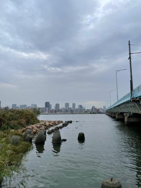 淀川ハゼ釣り大会2025