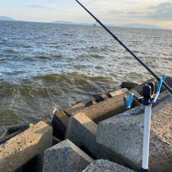 シロギスタ:淡々フィッシング