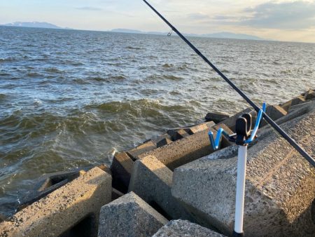 シロギスタ:淡々フィッシング