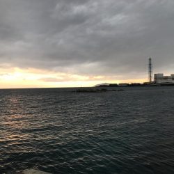 今年も厳しい秋イカのらはじまり