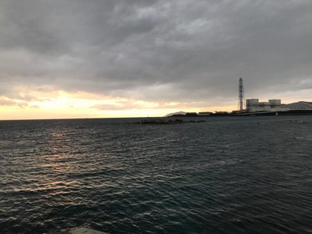 今年も厳しい秋イカのらはじまり