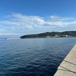 3年ぶりの太刀魚