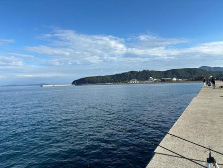 3年ぶりの太刀魚