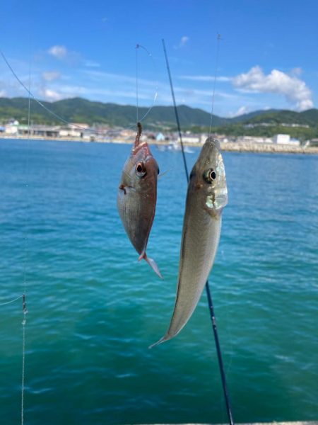 淡路島釣行！