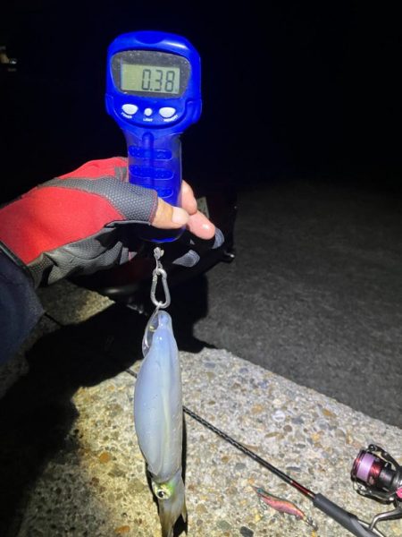 秋🦑釣れました😊