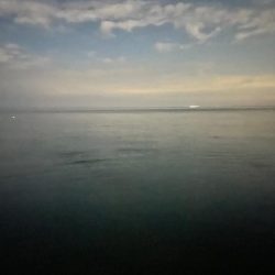 軍艦グリーンでアオリイカ