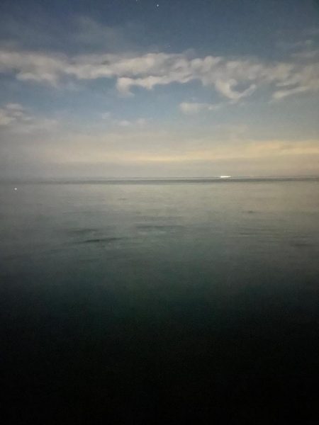 軍艦グリーンでアオリイカ