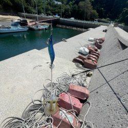 今日は、デカめも釣れました〜‼️