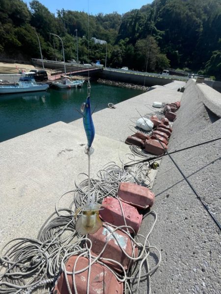 今日は、デカめも釣れました〜‼️