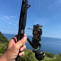 ほんとの磯デビュー