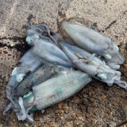 今日も隙間時間に!