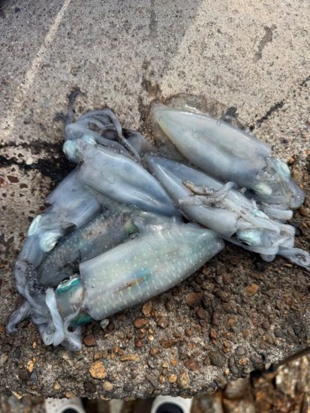 今日も隙間時間に!