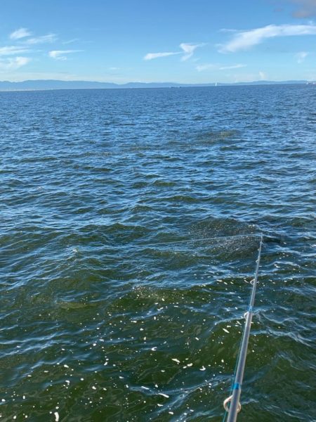 朝マヅメチヌ2匹