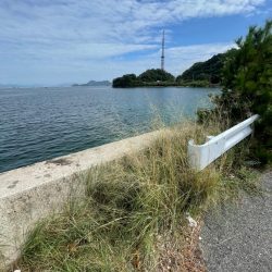 エギングとサビキ