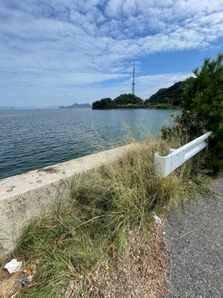 エギングとサビキ