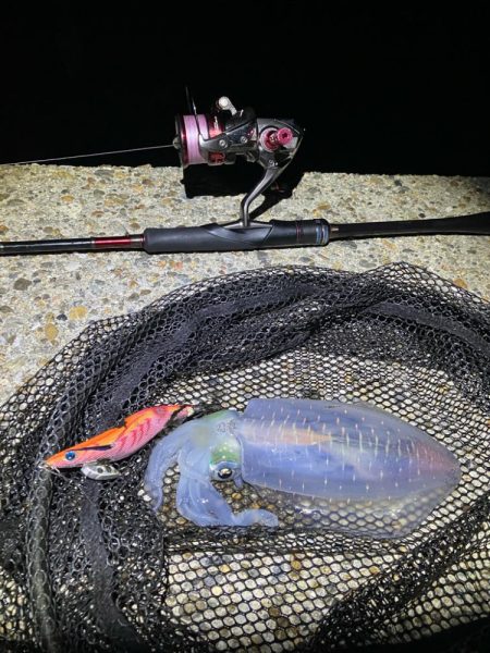 秋🦑楽しい ②