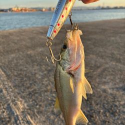 朝1ヒットは気持ちいい!