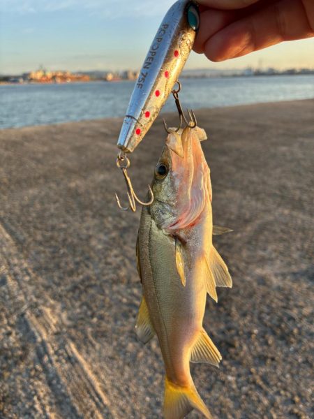 朝1ヒットは気持ちいい!