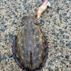 今秋シーズン記録更新