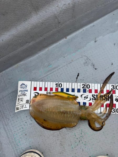 昼すぎから海上散歩