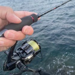 2025 佐渡ヶ島エギング Vol.8【9月12日】