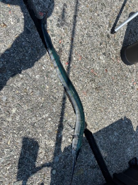 灼熱の小浦一文字