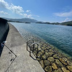 コロッケサイズも交じる！