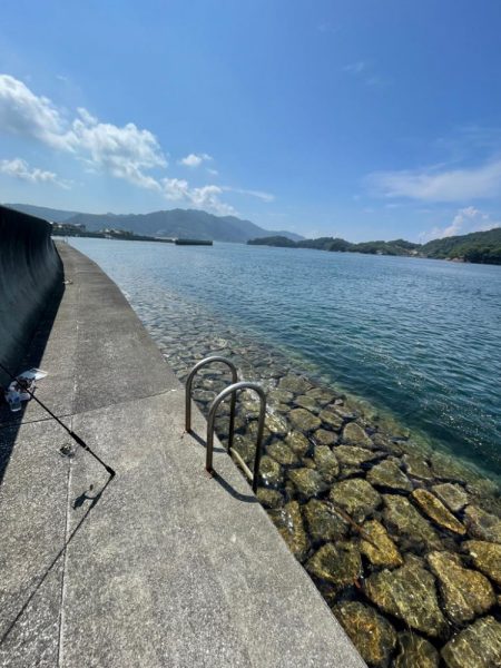 コロッケサイズも交じる！