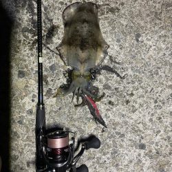 淡路島遠征ー！