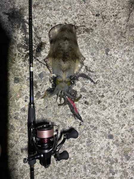 淡路島遠征ー！