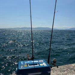 ペットボトルが……