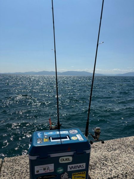 ペットボトルが……