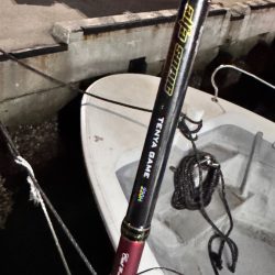 マダイ/ひとつテンヤ