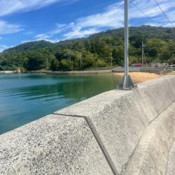 そこそこサイズ