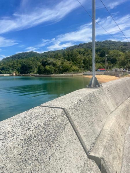 そこそこサイズ