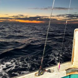 6回目イカメタル