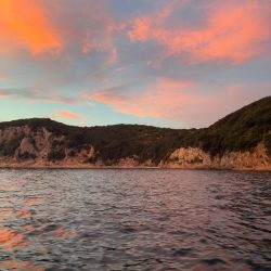 2回目のティップランエギング