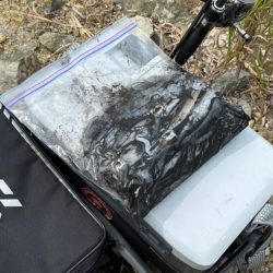 のりくら渡船利用で西島エギング