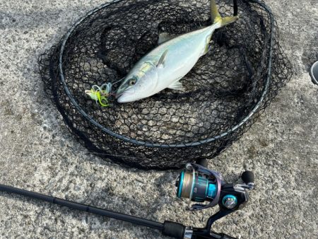 第４回空ちゃんエギング大会１