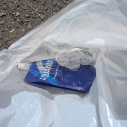 清掃活動：今年はサイズ関係なく深い