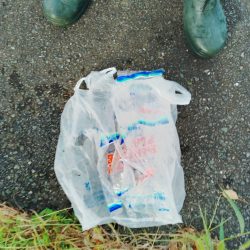 清掃活動：シロギス