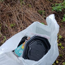 清掃活動：高山ダムで数釣り