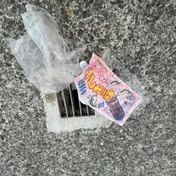 清掃活動：夏休み最終日