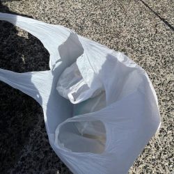 清掃活動：台風あと‥