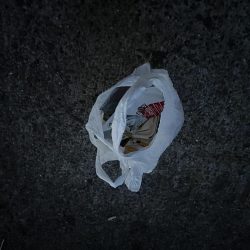 清掃活動：三連休前‥‥魚より人多い