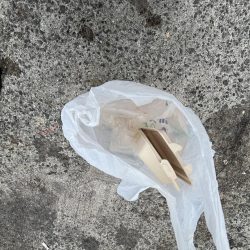 清掃活動：銅付きでサンバ