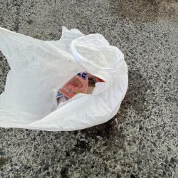 清掃活動：アジしか勝たん