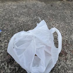 清掃活動：アジしか勝たん2