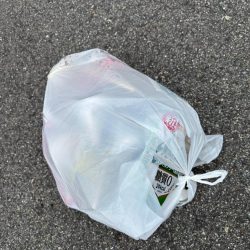 清掃活動：エビ撒きでグレ釣れました